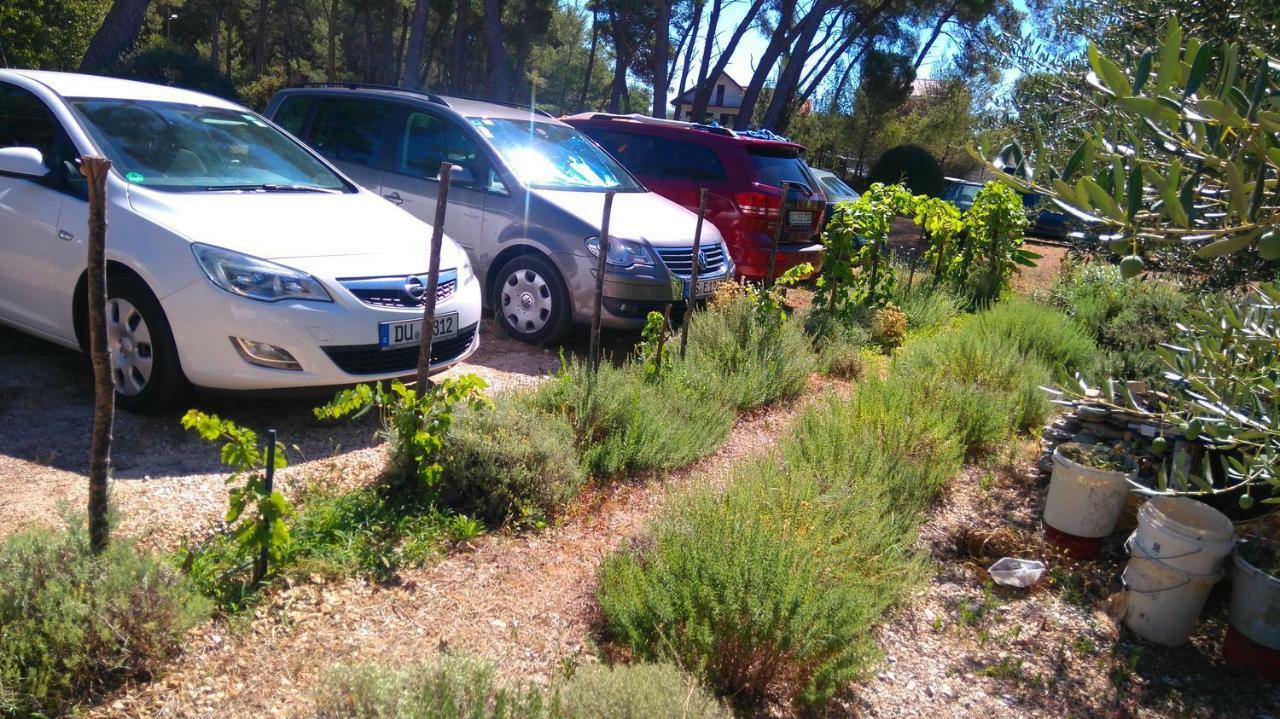 Apartmani Nimcevic Biograd Na Moru Eksteriør billede